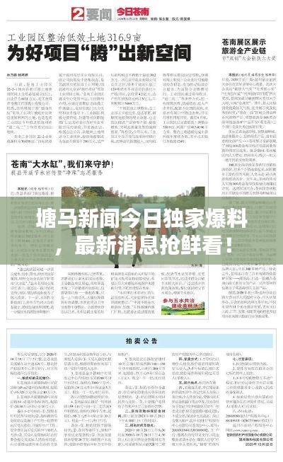 塘马新闻今日独家爆料，最新消息抢鲜看！