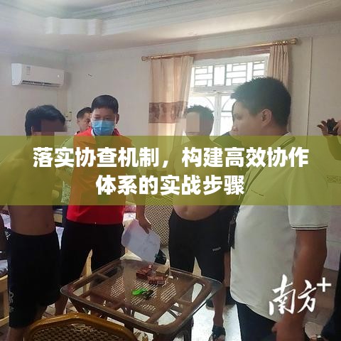 落实协查机制，构建高效协作体系的实战步骤