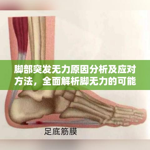 脚部突发无力原因分析及应对方法，全面解析脚无力的可能原因与解决策略