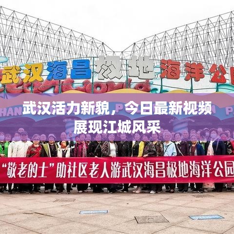 武汉活力新貌，今日最新视频展现江城风采