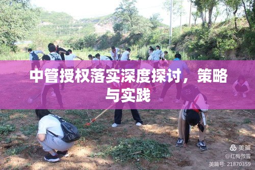 中管授权落实深度探讨，策略与实践