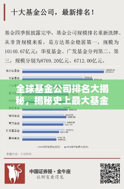 全球基金公司排名大揭秘，揭秘史上最大基金公司影响力分析