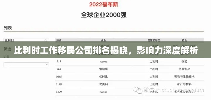 比利时工作移民公司排名揭晓，影响力深度解析