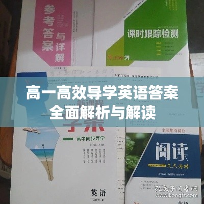 高一高效导学英语答案全面解析与解读