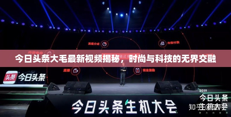 今日头条大毛最新视频揭秘，时尚与科技的无界交融