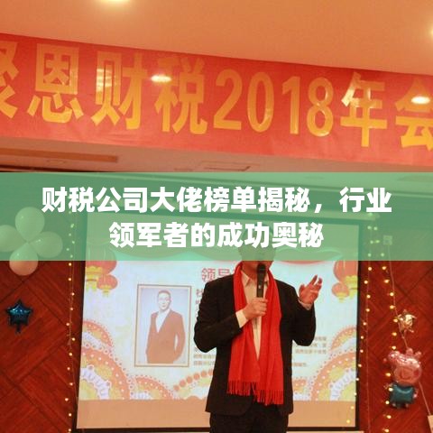 财税公司大佬榜单揭秘，行业领军者的成功奥秘