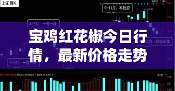 宝鸡红花椒今日行情，最新价格走势分析