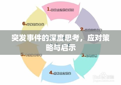 突发事件的深度思考，应对策略与启示