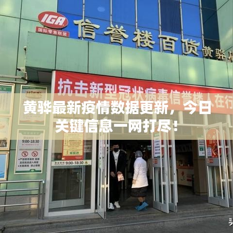 黄骅最新疫情数据更新，今日关键信息一网打尽！