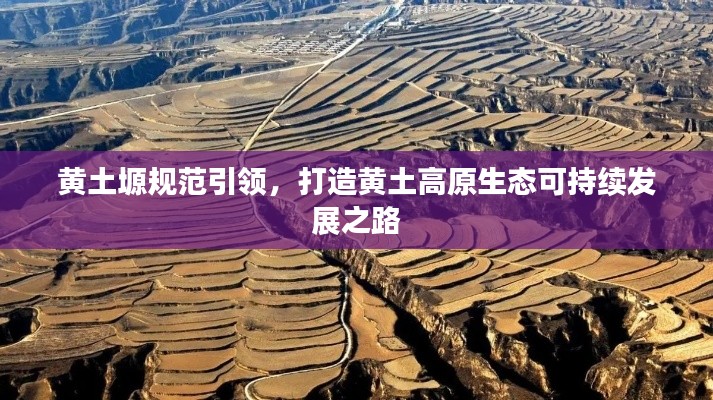 黄土塬规范引领，打造黄土高原生态可持续发展之路