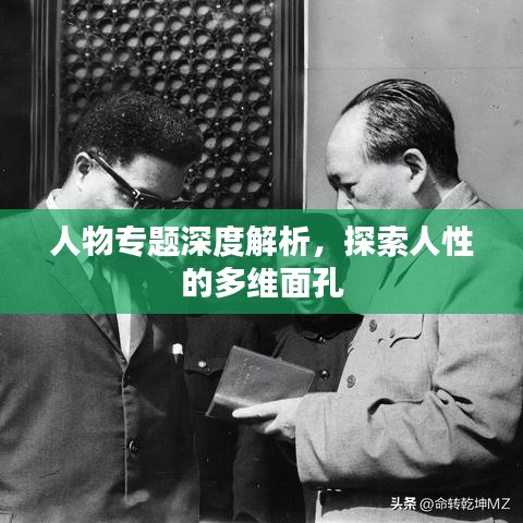 人物专题深度解析，探索人性的多维面孔