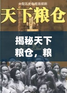 揭秘天下粮仓，粮食安全背后的秘密大解密