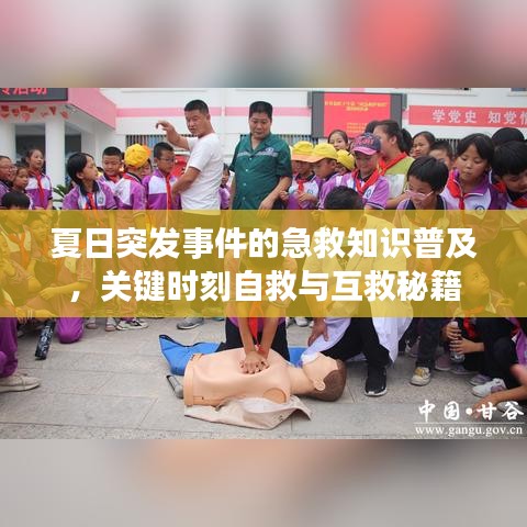 夏日突发事件的急救知识普及，关键时刻自救与互救秘籍