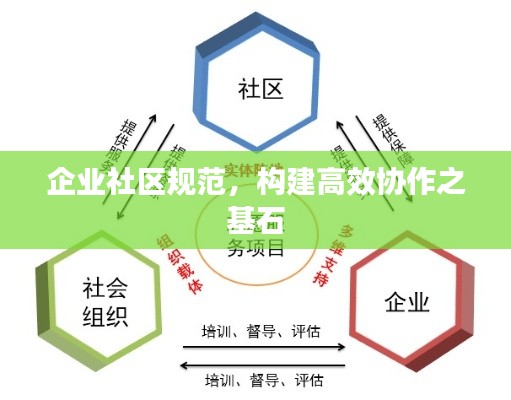 企业社区规范，构建高效协作之基石