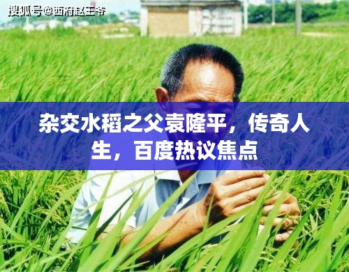 杂交水稻之父袁隆平，传奇人生，百度热议焦点