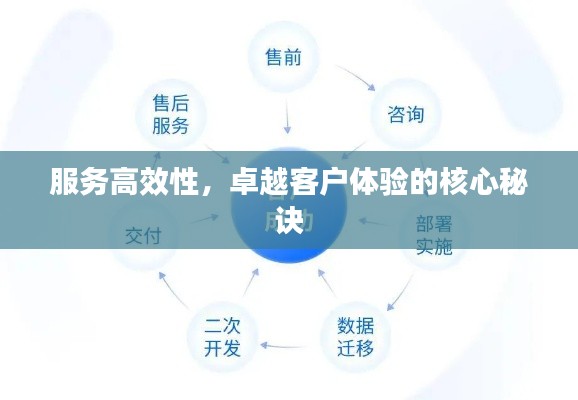 十年磨剑
