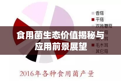食用菌生态价值揭秘与应用前景展望