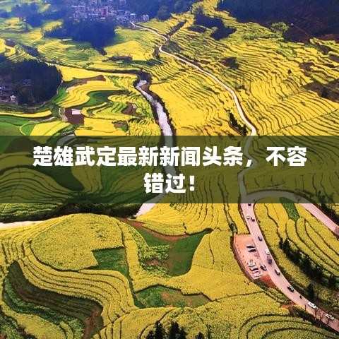 楚雄武定最新新闻头条，不容错过！