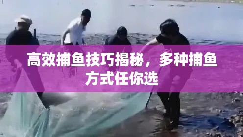 高效捕鱼技巧揭秘，多种捕鱼方式任你选