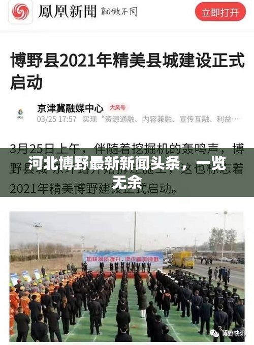 河北博野最新新闻头条，一览无余
