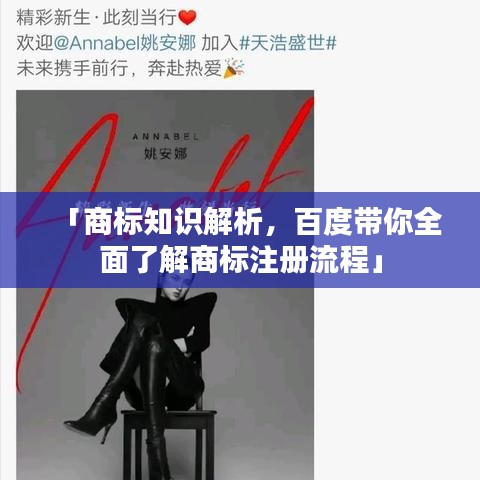 「商标知识解析，百度带你全面了解商标注册流程」