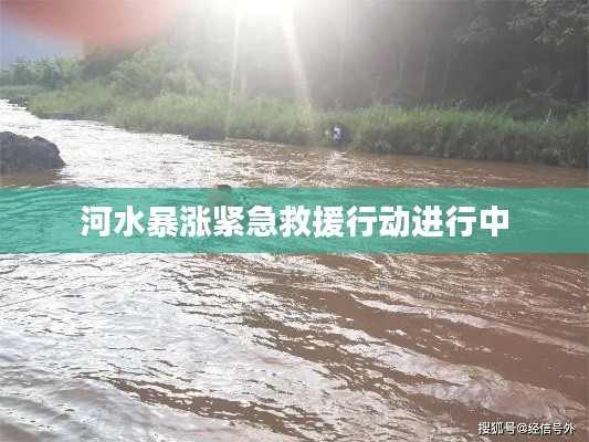 河水暴涨紧急救援行动进行中