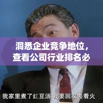 洞悉企业竞争地位，查看公司行业排名必备指南