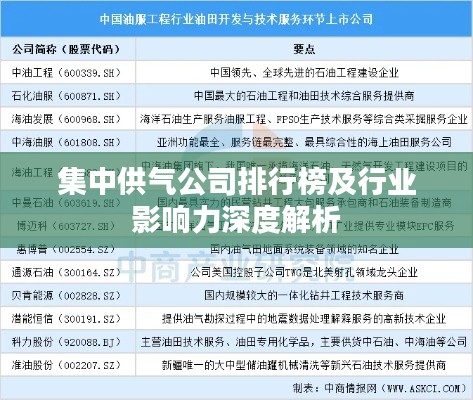 集中供气公司排行榜及行业影响力深度解析