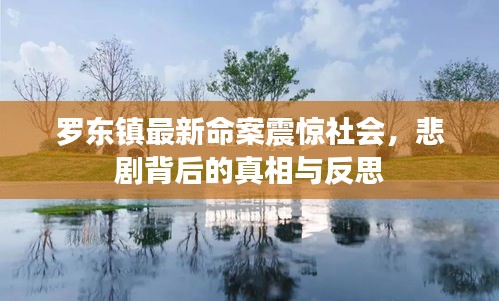 罗东镇最新命案震惊社会，悲剧背后的真相与反思