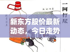 新东方股价最新动态，今日走势及最新消息一网打尽