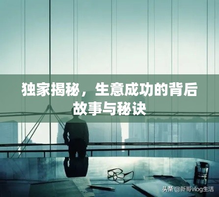 独家揭秘，生意成功的背后故事与秘诀