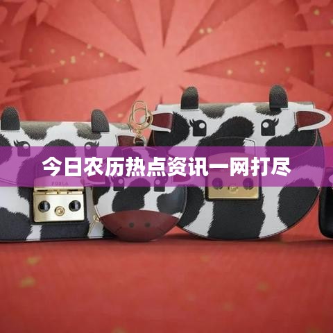 飞鸟惊蛇