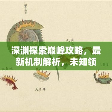 深渊探索巅峰攻略，最新机制解析，未知领域探险指南