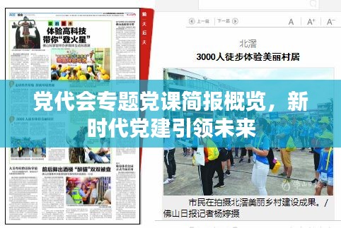 党代会专题党课简报概览，新时代党建引领未来