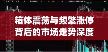 箱体震荡与频繁涨停背后的市场走势深度解读