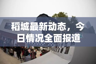 如鸟兽散