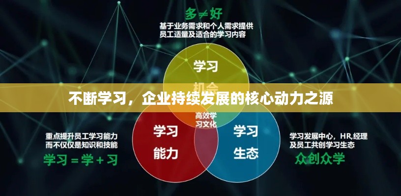 不断学习，企业持续发展的核心动力之源