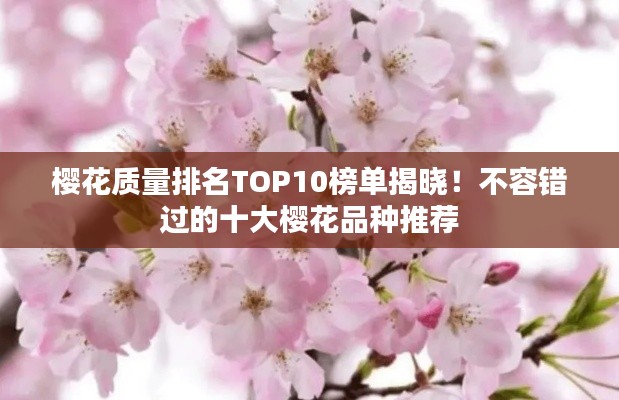 樱花质量排名TOP10榜单揭晓！不容错过的十大樱花品种推荐