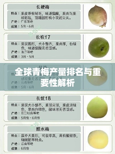 全球青梅产量排名与重要性解析