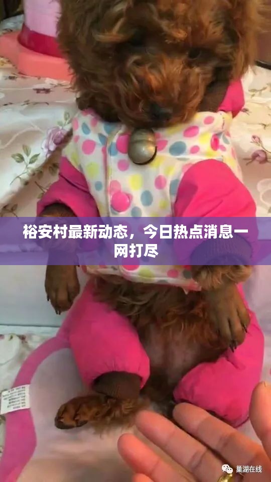 裕安村最新动态，今日热点消息一网打尽