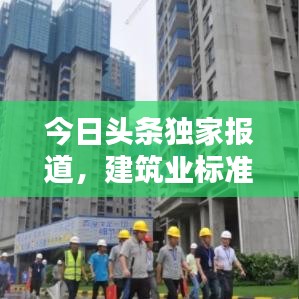 2025年6月5日 第2页