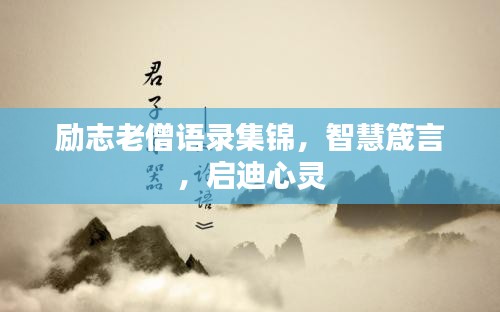 犯而不校