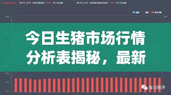 花枝招展