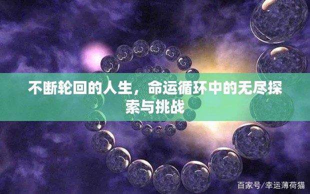富贵不能淫