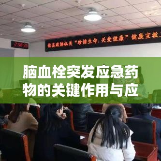 脑血栓突发应急药物的关键作用与应用解析
