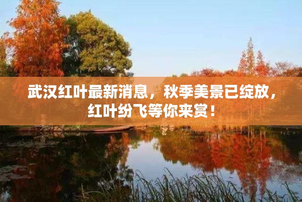 2025年6月8日 第3页