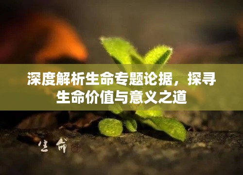 深度解析生命专题论据，探寻生命价值与意义之道