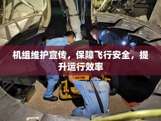 繁鸟萃棘