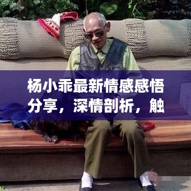 椎髻布衣