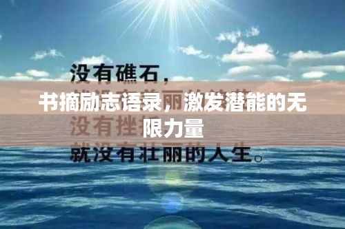 漫天飞舞